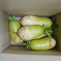 서하리 무농약 유기농 무 무말랭이, 10kg+,무말랭이150g(6000원)