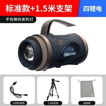 갈치 호래기 볼락 제논 수중 전용 왕대구 중층써치 달초롱 미니 갑오징어 낚시집어등 고출력 집어등걸이 녹색, [스탠다드+1.5m 거치대] 10-60시간 주행감지