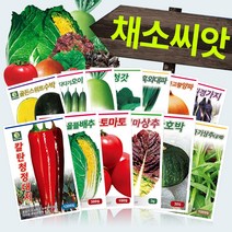 다농 채소 씨앗모음전 - 열매채소 뿌리채소 잎채소 쌈채소 고추 토마토 배추 무 상추 갓 파 부추 호박 가지 딸기 오이 멜론 여주 수세미 박 씨앗 종자, AC13=TY큐티옐로우방울토마토씨앗10립!