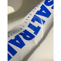 솔트레인 블루 투스페이스트 100g 치약 2개