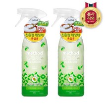 LG생활건강 메소드 구연산 배스룸 클리너 500ml 2개, 단일옵션