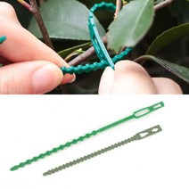 재사용 가지 줄기 녹색 작물고정끈 50p 덩굴 타이 지주고정 밭농사 포도, 소