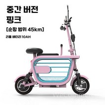 스쿠터 전기스쿠터 전동스쿠터 오토바이 클래식 출퇴근용 배달용 전기오토바이 소형 미니바이크, D. 10Ah 리튬 배터리  약 45km