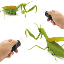 반디-무선조종 R/C 자이언트 사마귀(GIANTMANTIS)