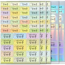 방수네임스티커 혼합형-대 특대형+홀로그램(총5장) 네임스티커 이름스티커, 12)컬러-이름2줄인쇄