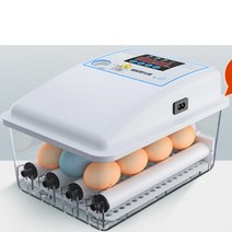 병아리부화기 자동병아리부화기 달걀부화기 계란부화기, 9개의 전자동 단일 전원