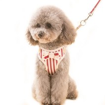 예쁜 비비드 고양이 강아지 목줄 가슴줄 하네스, F타입-L선택했어요