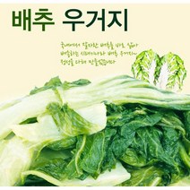 국산 (이천시 건우농산) 삶은 배추 우거지 1kg