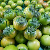 특가판매)2023년 당일 발송 품질보장 농협 정품 인증 대저 짭짤이 토마토, 02 대저짭짤이 토마토 (S~S2) --- 2.5kg