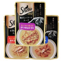 쉬바 육수 가득 수제수프 3종혼합40gx12개, 1박스