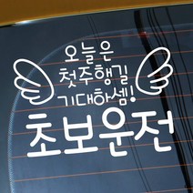 자동차 초보운전 아기스티커_타이포 오늘은 첫주행길, 신박한 선물가겟 반사지