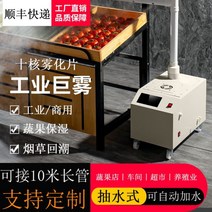 산업용가습기 복합식 가전주파집겸용회전hf 농산물저온저장고 가습기 주파집 공조기가습 무인방제기 대형, 10코어스마트버전(더블튜브)5KG포그출력