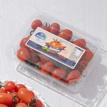 스테비아 대추 방울 토마토, 3팩, 500g