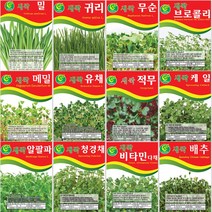[씨앗모음] 대용량 새싹씨앗 500g 1kg, 24.새싹청경채 1kg