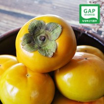 [생산자직송] 창원 부유 단감(대) 3kg, 단품