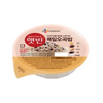 CJ 햇반 오곡밥, 210g, 15개