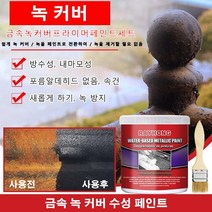 1+1메탈 녹제거제 금속 녹 커버 수성 페인트 금속 광택제 스텐 세척제 녹제거제 + 브러쉬 세트 100g, (녹제거제 + 브러쉬 세트)100g*2