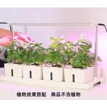 실내 수경 재배기 스마트팜 무토 재배 가정용 조합 수경법 화분 야채 꽃 딸기 데스크탑 식물 채우기 빛, 심기 상자 + 높이 조절이 가능한 필 라이트 z3, 다른, 큰