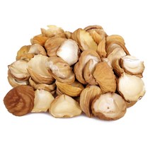 신선약초 건율, 300g, 1개