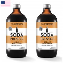 소다스트림 시럽 진저 에일 500ml, 2팩