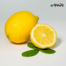 식탐대첩 팬시레몬 20개(개당120g내외), 단품