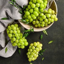 [진맛과] 상주 샤인머스켓 500g, 단품