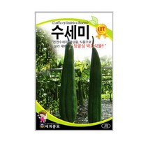 세계종묘 수세미씨앗 10립