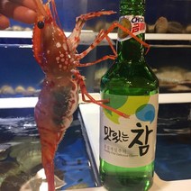 활 독도새우 도화새우, 1box, 활 독도도화새우(중) 1kg