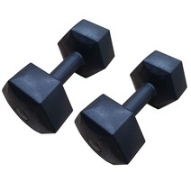 대한스포츠 육각아령 2~10kg, 10kg, 2개