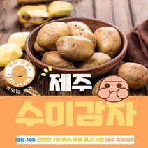해풍맞은 청정 제주도 국내산 수미감자 특대 5kg 10kg 20kg 햇감자 농산물 감자요리 감자튀김 감자칩 러셋감자 두백감자 씨감자 제주도감자 하지감자 유기농감자 개진감자 분감자, 1박스, 특대 10kg