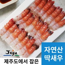 제주에서 잡은 자연산 딱새우, 딱새우회 130g (15-20미) 2팩