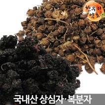 상심자 오디 복분자 국내산, 상심자(오디)300g