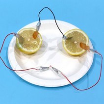 안전집게전선 과일전지실험(LED형)(1인용)