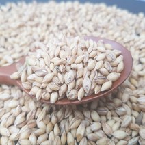 남외정미소 새싹보리 재배 가능한 통보리쌀 보리차 미숫가루, 1개, 5kg