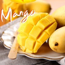 [바른팜] 항공직송 고당도 필리핀 망고 L 4개 1.1kg, 없음