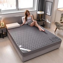 높은패밀리침대 벽장침대 UVR-고품질 3D 통기성 모기 퇴치 매트리스 메쉬 침대 학생 기숙사 다다미 가족, 03 NO-3