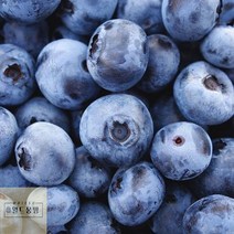 수입_100g_영화청과_재배_블루베리_시세_생_보관_냉동__저장 BA31, 상세페이지 참조