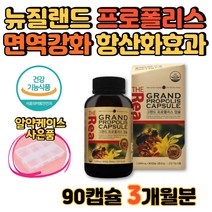 뉴질랜드 프로폴리스 알약 면역력높이는영양제 목영양제 목이간질간질 항산화 식약처인증 건강기능식품 수험생 직장인 프롤폴리스 플로폴리스