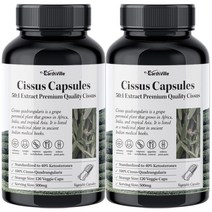 어스빌 시서스 가루 50배 고농축 25000 추출물 알약 120캡슐, 120캡슐 x2개