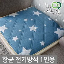 이노크아든 북유럽풍 향균 절전형 전기방석, 타임 민트(GP-101), 45 x 45cm