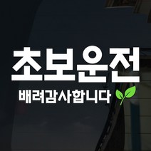 108 STUDIO 초보운전 차량스티커300, 309(새싹v2), 1개