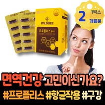 구강 혀 프로폴리스5000 프로폴리스원액 액상 보호 포우먼 피로회복 부모님 재생 항염 입병원인 PROPOLIS 호주 구강건조증 시아버지생신선물 여드름 시니어 60대 높이는 남성