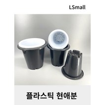플라스틱 현애분, 6호 블랙