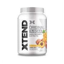 엑스텐드 BCAA 오리지널 파우더 피치아이스티맛 90회분 정식제품, 상품+블랜더보틀 쉐이커클래식830ml블랙