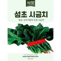 [월동시금치] 섬초 시금치씨앗 (40g)-동초 남부지방 토종시금치 씨앗