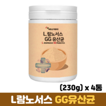 LGG 유산균 분말 L람노서스GG유산균 프락토올리고당 장건강 프로바이오틱스 프리바이오틱스, 4통, 230g