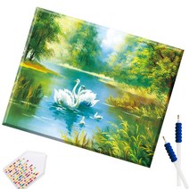 SHEXIU 3D 원형 보석십자수 캔버스액자 DIY 키트 50 x 40 cm, SX093  호수 속의 백조x1세트