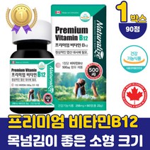 청소년 직장인 캐나다 비타민 B12 엽산 영양제 여성 남자알 작은 목넘김좋은 비타민 b12 건강식품 식약처 인증 초소형 고농축 비타민비 b12 비타민삐 약국 20대 50대 활성 추천