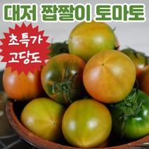 (초특가 최상품) 대저토마토짭짤이 부산 대저토마토 짭짤이토마토 맛있는 짭짤이 짭잘이 대저짭짤이토마토 토마토대저짭짤이 단짠 토마토 소과 2.5kg, (2) 대저 짭짤이토마토 2S-S (2.5kg)