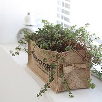 내추럴 쥬트 화분 커버 (2type) 인테리어 조화 가든 꾸미기 소품 황마 친환경 제로웨이스트, 그린-가든플라워, 사각